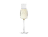 Soiree Acrylic Multi Bottle Bucket & 12 Power Champagne Flutes