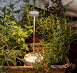 Zafferano Swap Pro Table Lamp 29cm high - WHITE