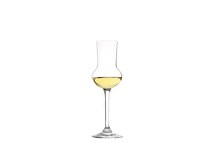Stolzle Grappa Glass 9cl, Set of 6